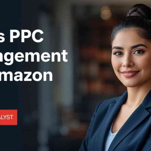 Texas PPC Management for Amazon